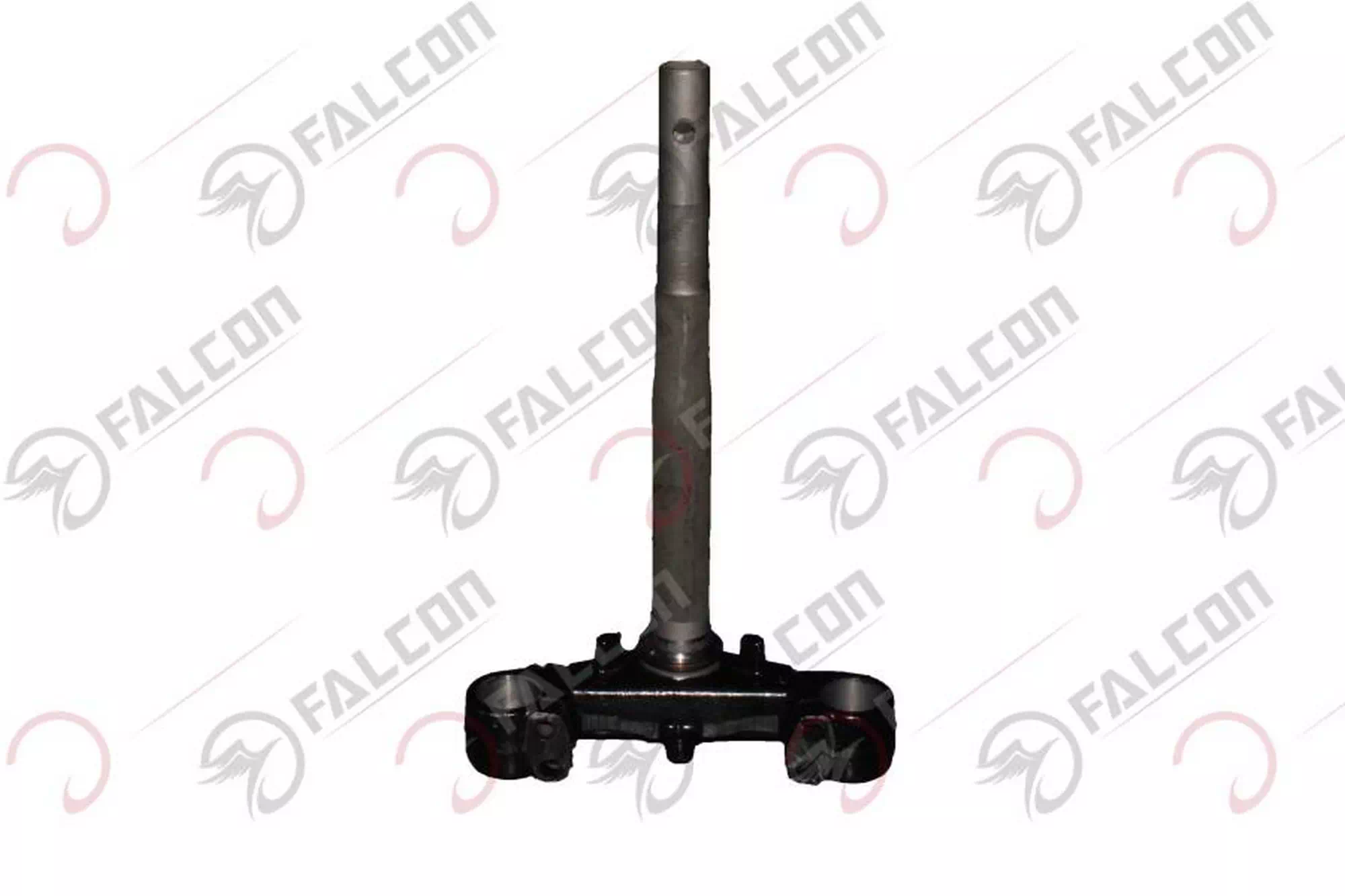 FALCON DOLPHIN 2020 PLATİN (ÖN MAŞA) #10Y-01-04