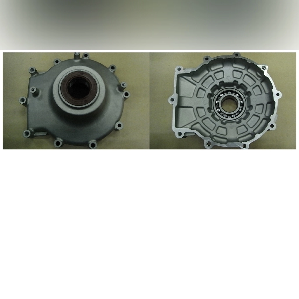 SYM Atv 600 KRANK YATAĞI SOL