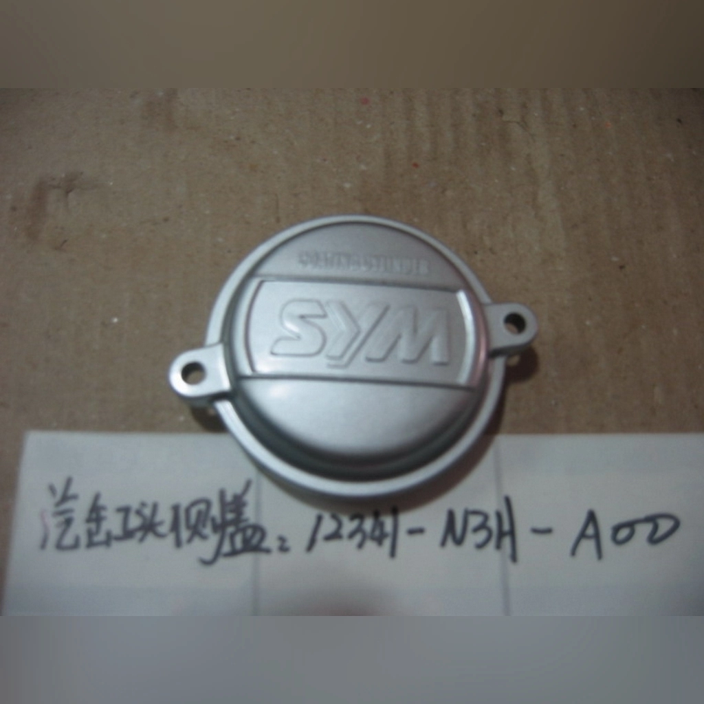 SYM XS 125 EKSANTRİK DİŞLİ KAPAĞI