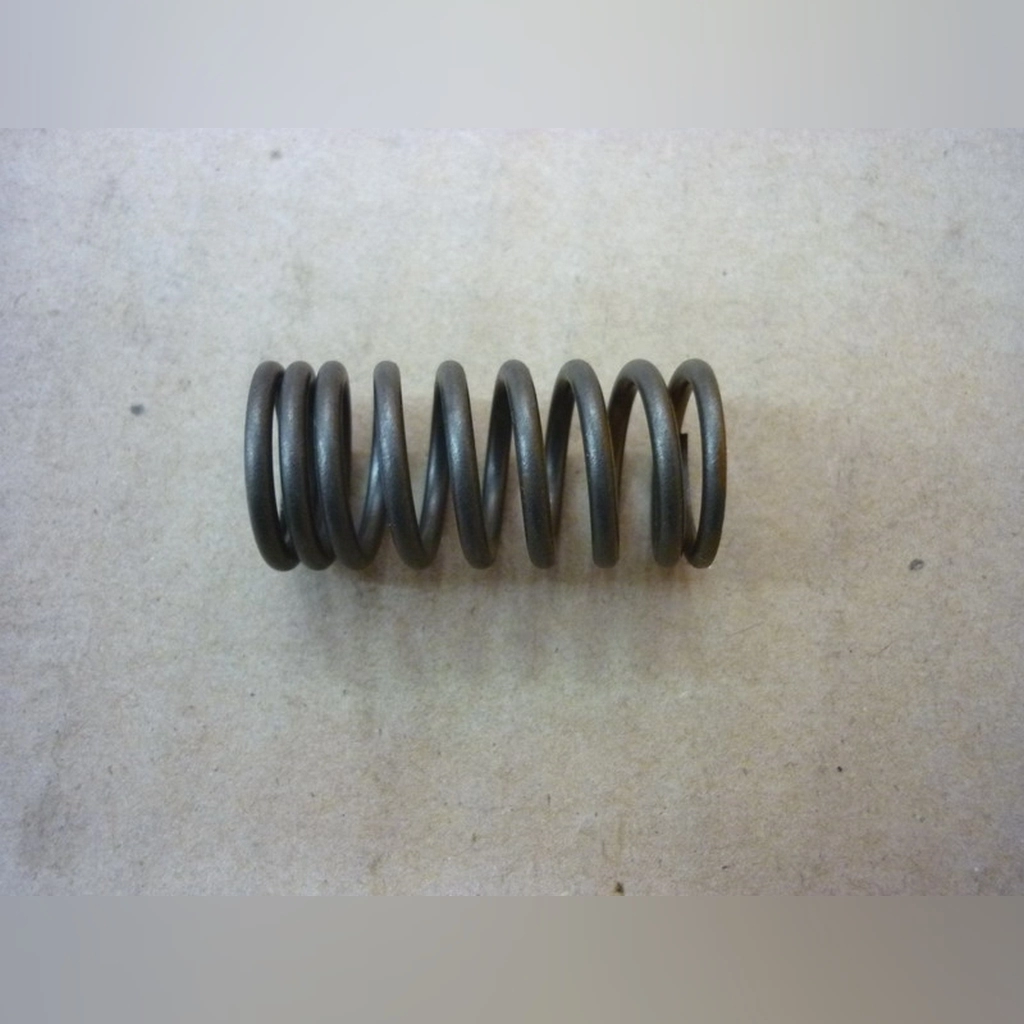 SYM Max Sym 400 SUBAP İÇ YAY
