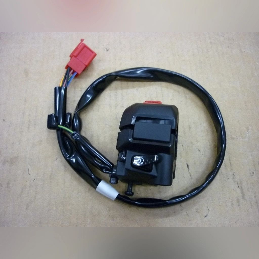 SYM Joymax 200i SAĞ KUTUK KOMPLE