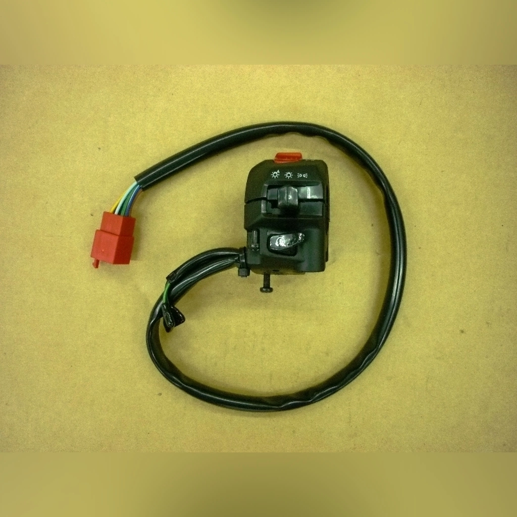 SYM Joymax 250i SAĞ KUTUK KOMPLE