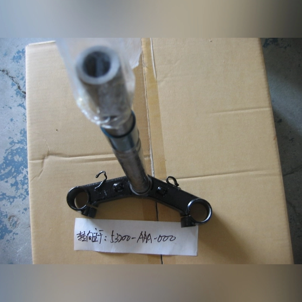 SYM Orbit 50 4T Euro 4 ALT PLATİN