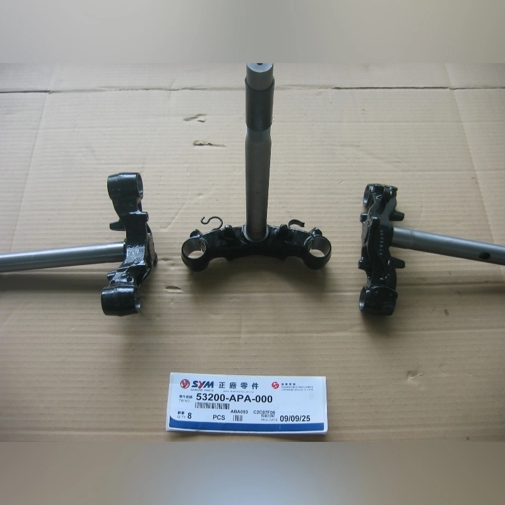 SYM Symphony 125 Eski Kasa ALT PLATİN