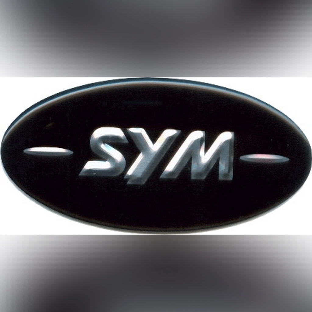 SYM Joyride 200 Karbüratörlü GİDON MUHAFAZA AMBLI