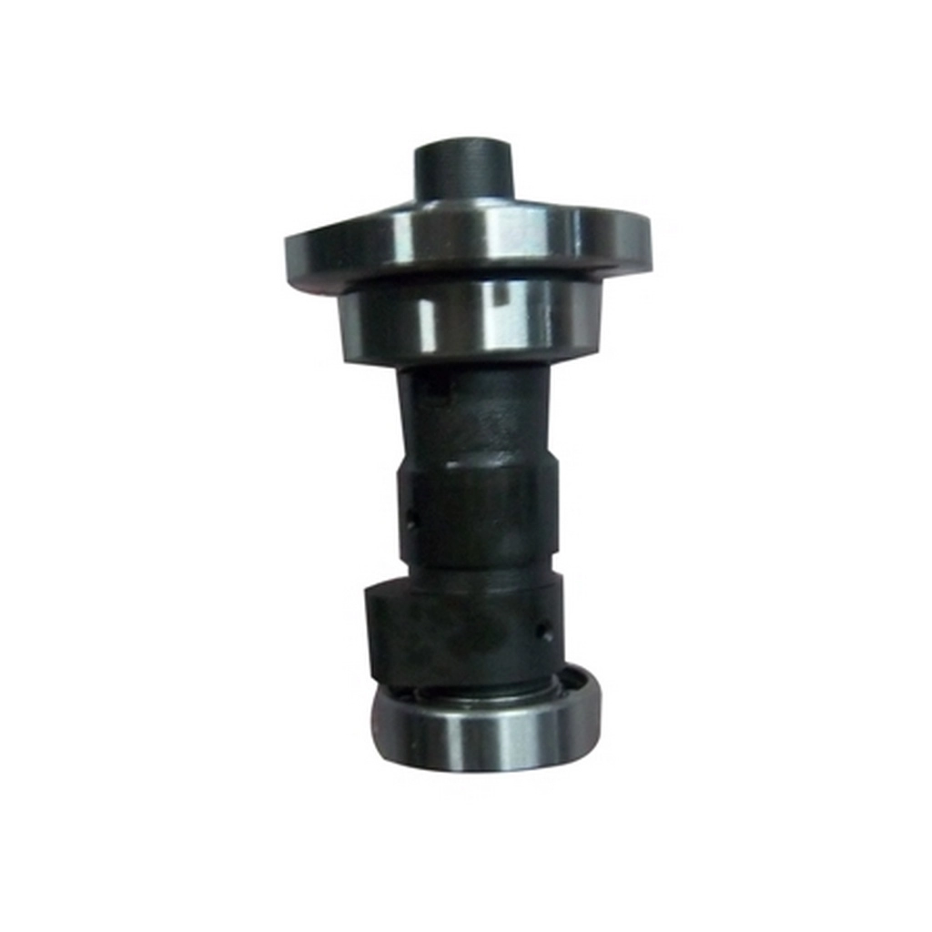 ARORA AR100T-6A EKSANTRİK MİLİ VE DİŞLİSİ #AR100T-6A 078