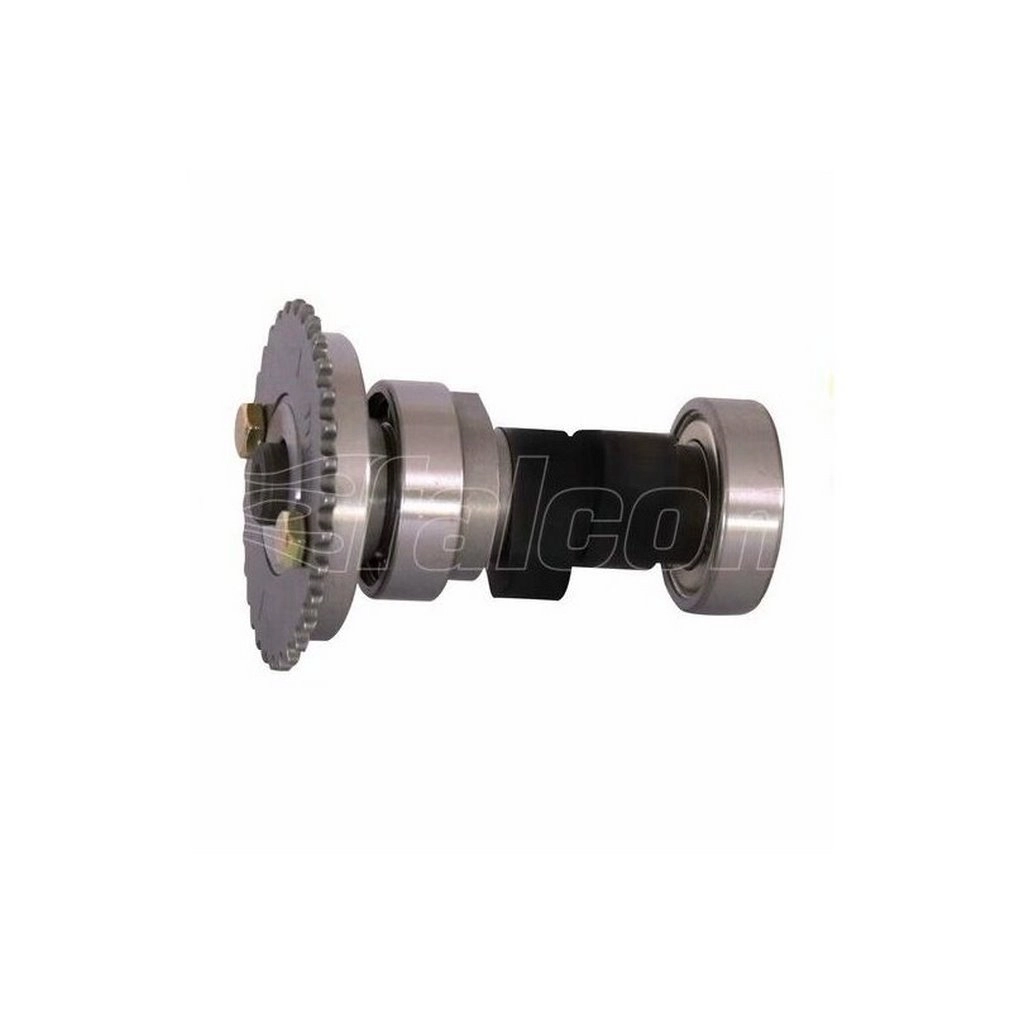 FALCON MEXICO 125 EKSANTRİK MİLİ DİŞLİSİ #MXC-13-24