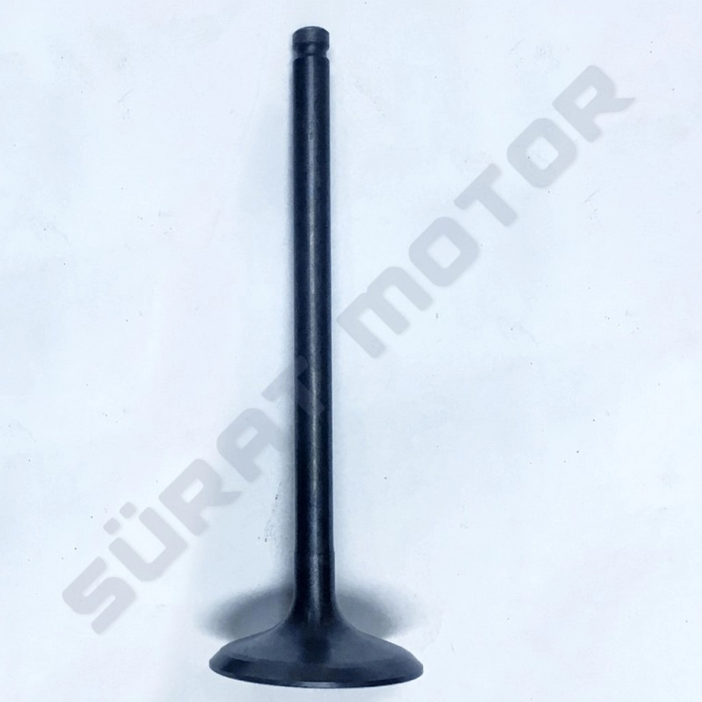 SUZUKİ INAZUMA EMME SİBOP