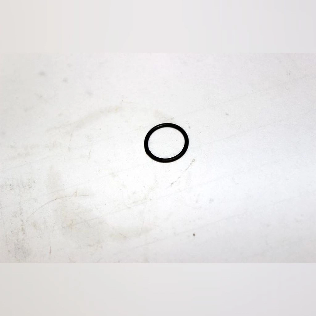 CF MOTO TERRALANDER 500 (4x4) (EFI) O-RING 14x1.44 #Y4CFM4001A0008