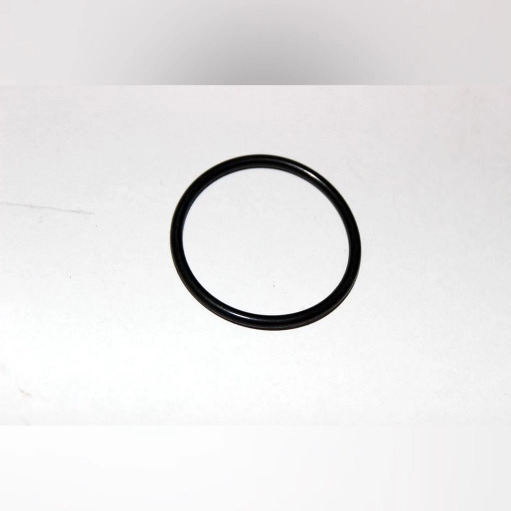 CF MOTO TERRALANDER 500 (4x4) (EFI) O-RING 34x3 #Y4CFM4001A0134