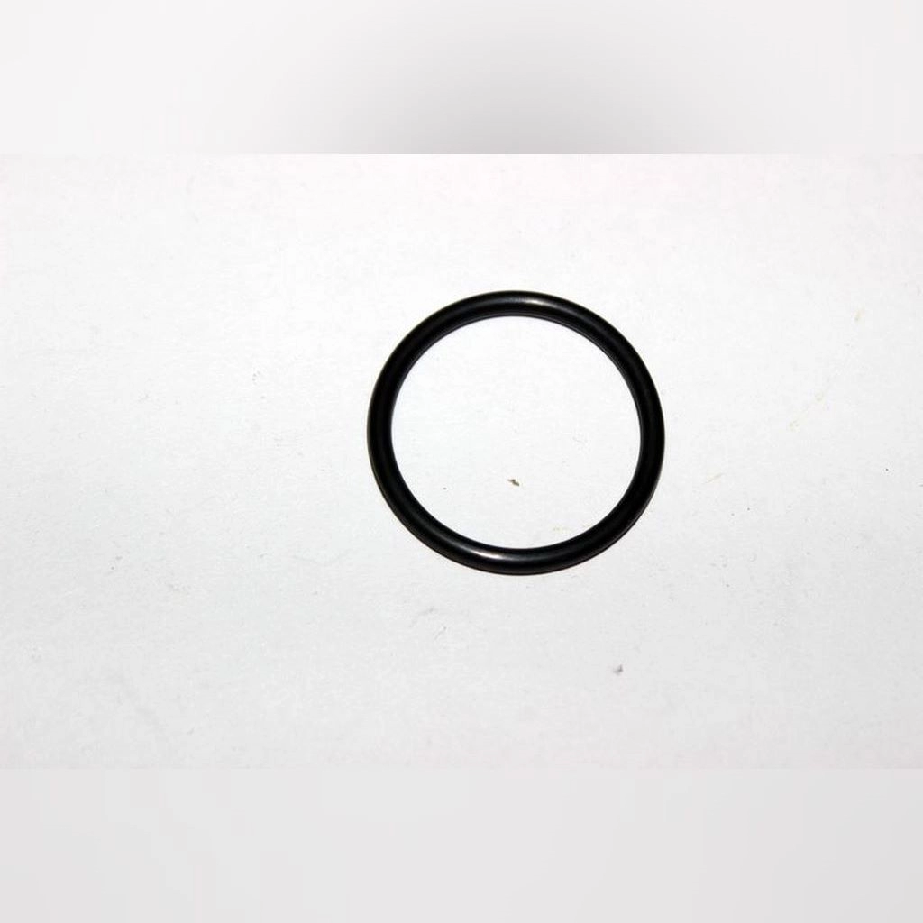 CF MOTO TERRALANDER 800 (4X4) (EFI) O-RING 28x2.65 #Y4CFM4004A0179