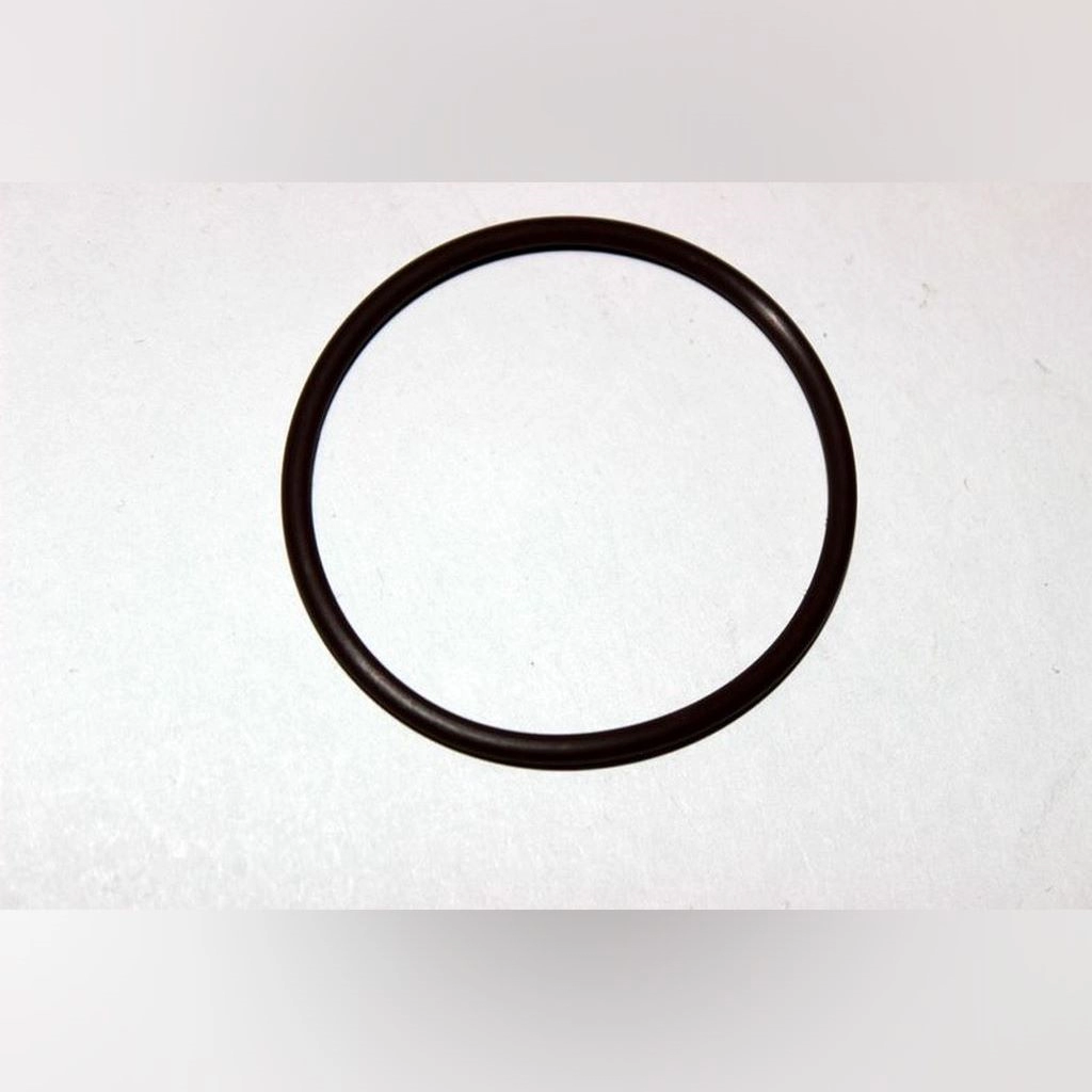 CF MOTO SD 650-S (EFI) O-RING 44.5x2.5 #Y4CFM4006A0113