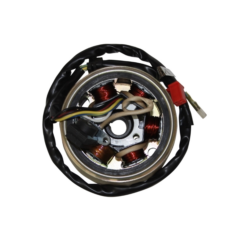 MONDIAL 125 MT ALTERNATOR KOMPLE #Y4MON0080A0007