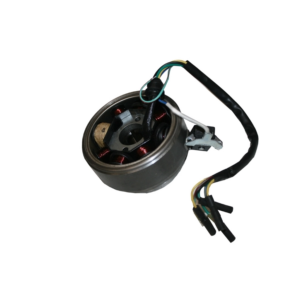 MONDIAL 150 UT ALTERNATOR KOMPLE #Y4MON0250A0118