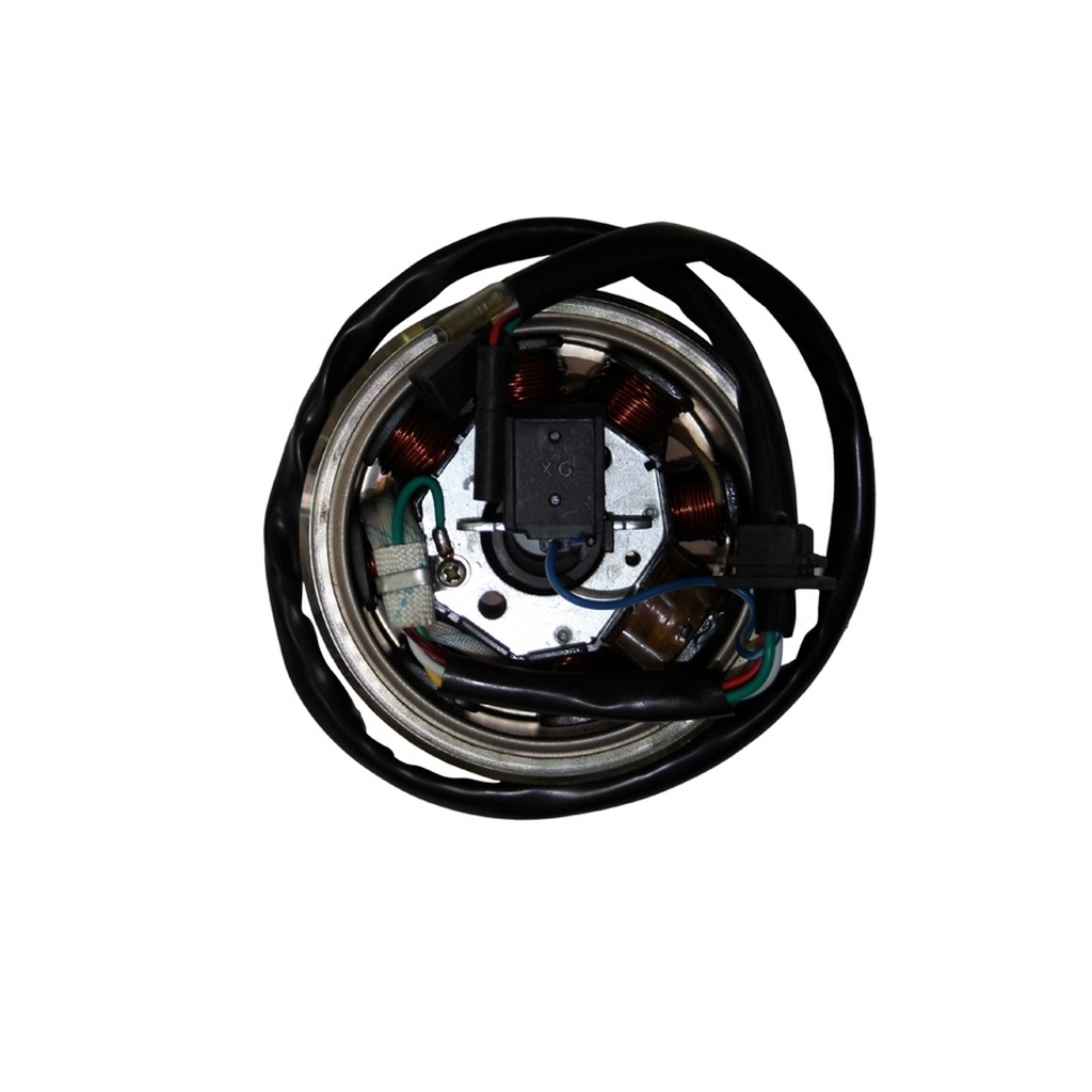 MONDIAL 150 HS ALTERNATOR KOMPLE #Y4MON0270A0014