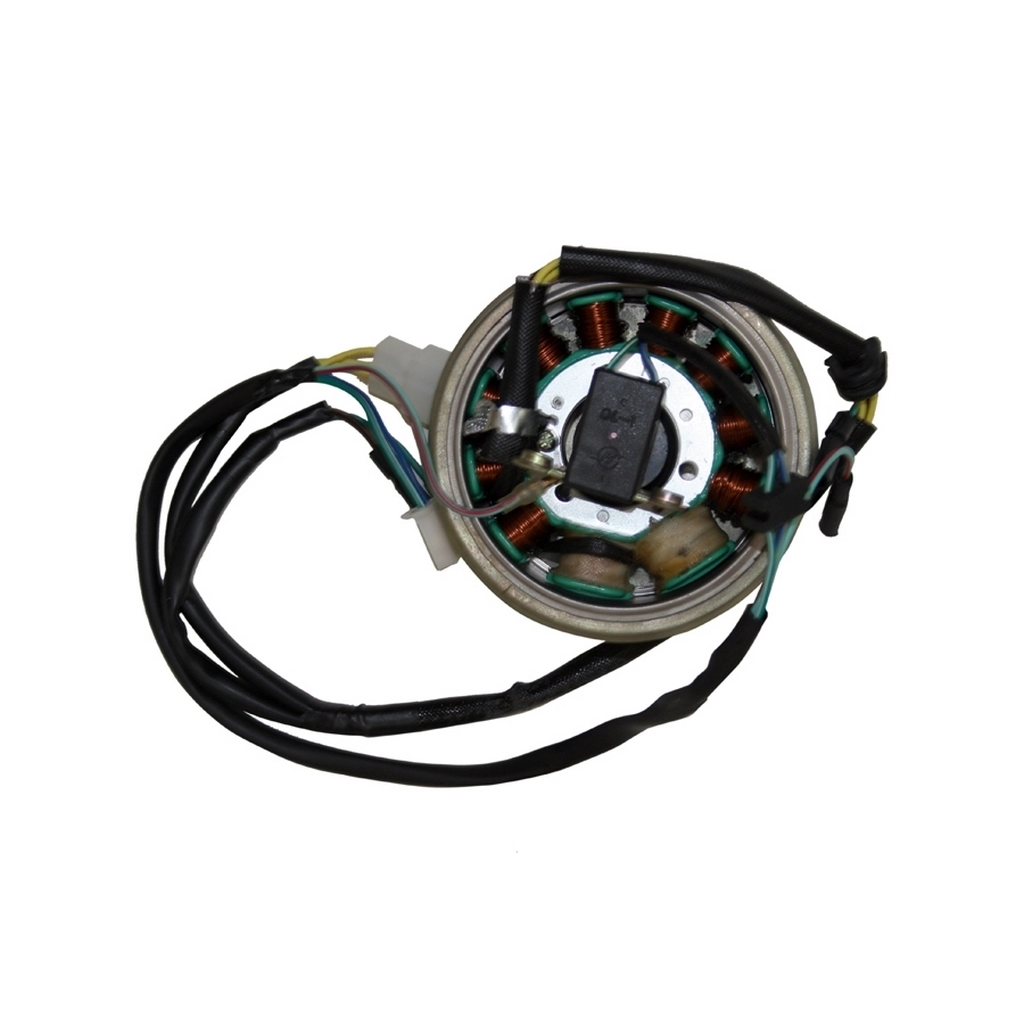 MONDIAL 250 MCT ALTERNATOR KOMPLE #Y4MON0290A0117