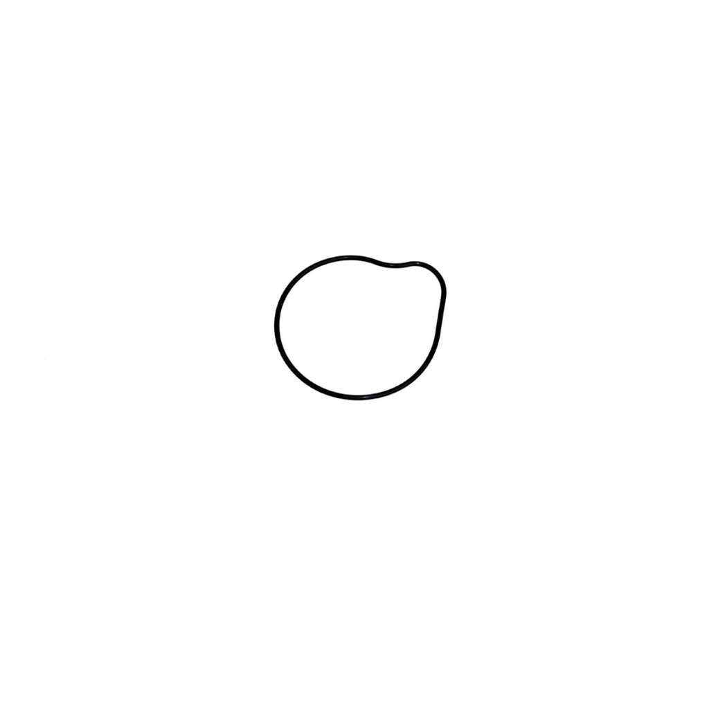 MONDIAL MR 250 (DESTRO) O-RING 63X2 #Y4MON0520B0251