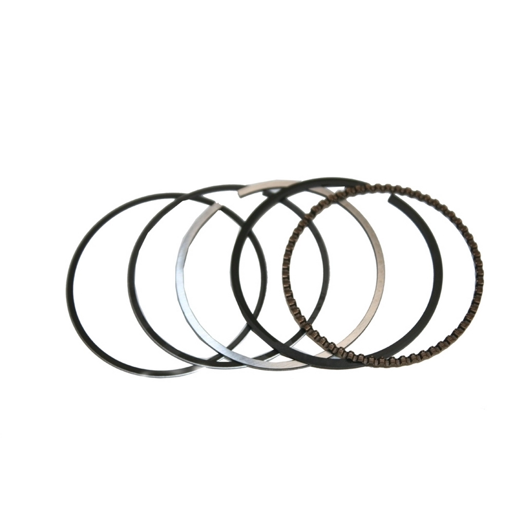 MONDIAL LOYAL SEGMAN TAKIMI #Y4MON0690A0009