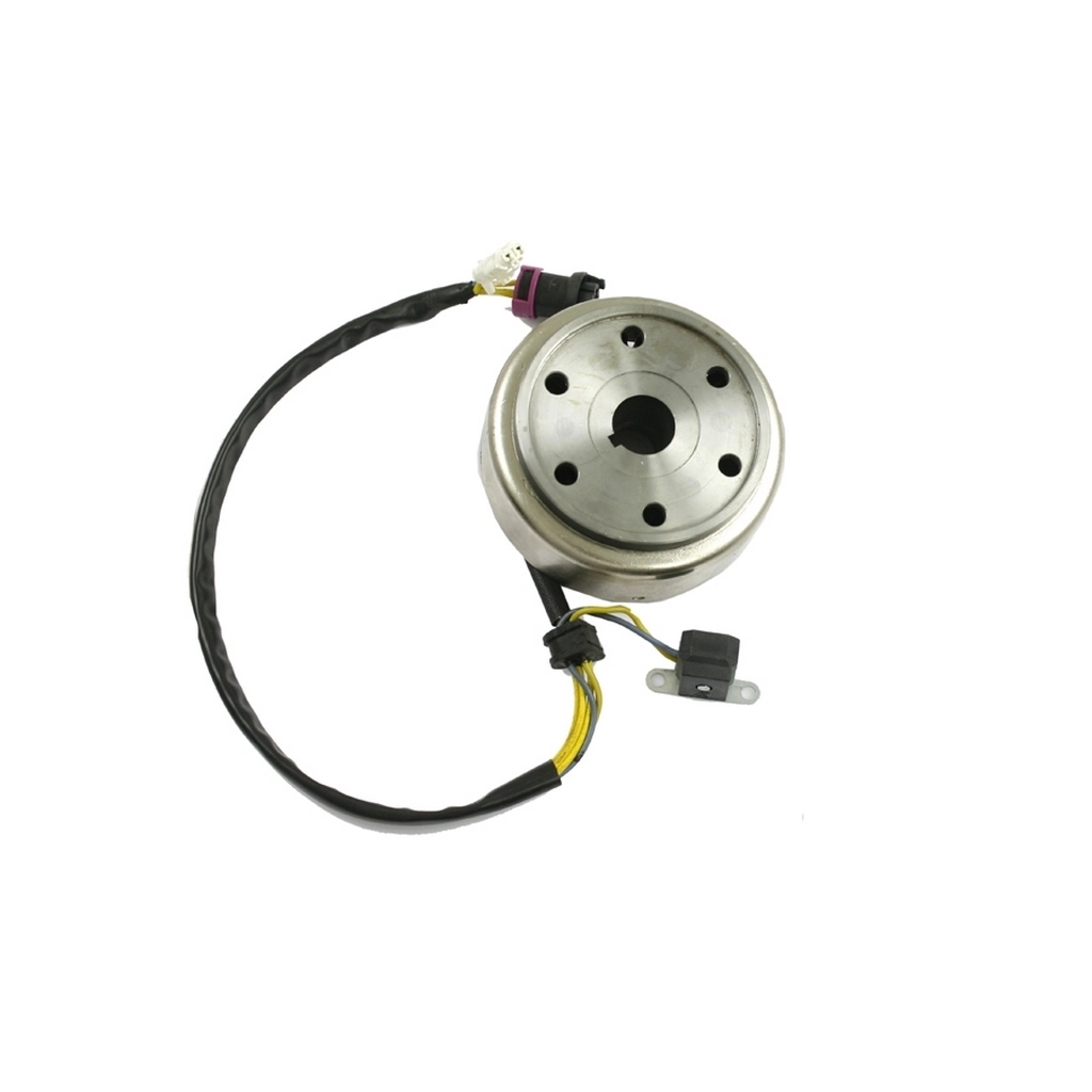 MONDIAL TERRALANDER 300 ALTERNATOR KOMPLE #Y4MON1000A0139