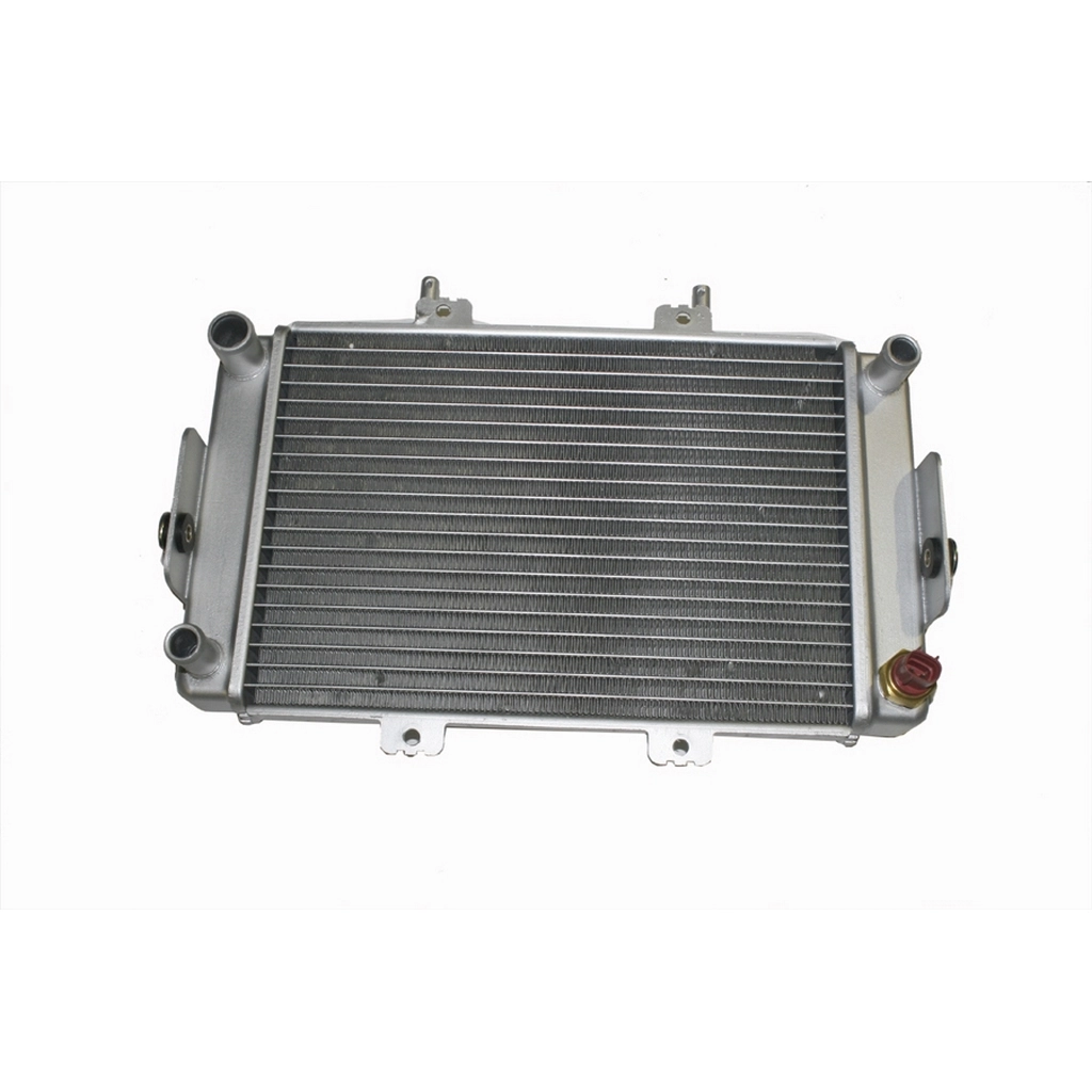 MONDIAL TERRALANDER 300 RADYATOR #Y4MON1000A0157