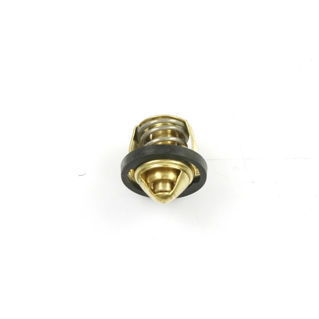 MONDIAL TERRALANDER 300 TERMOSTAT #Y4MON1000A0170