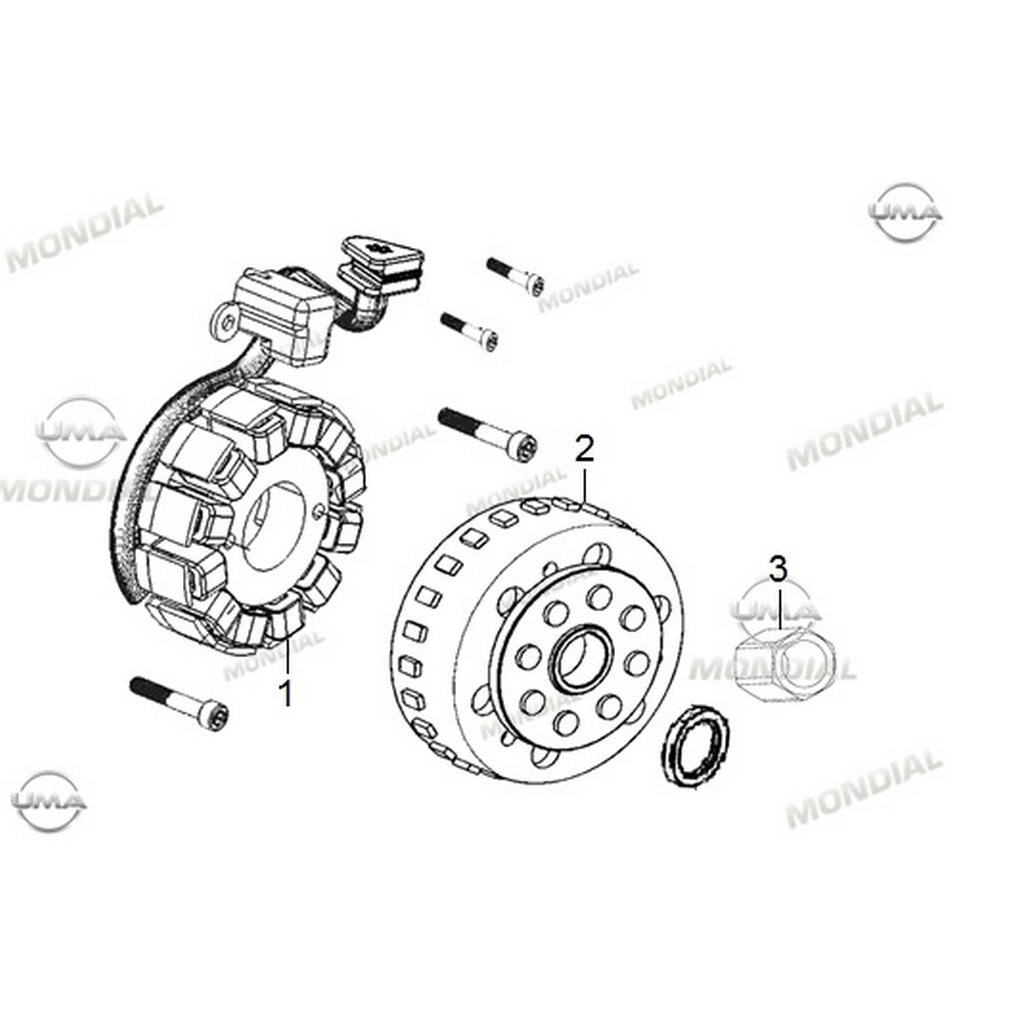 MONDIAL RX3-I EVO ROTOR #Y4MON1012B0114