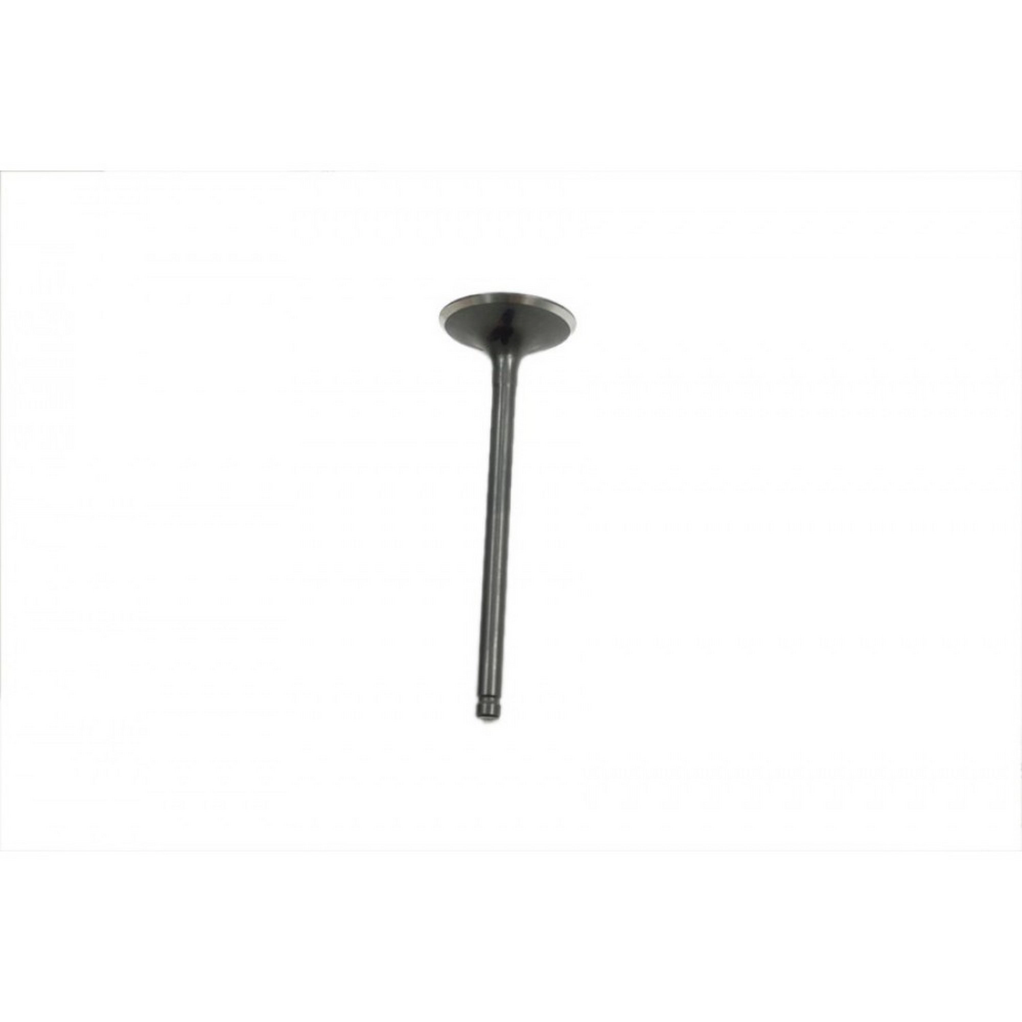 MONDIAL 200 XTREME - MAX X EGZOZ SUPABI #Y4MON1017A0005