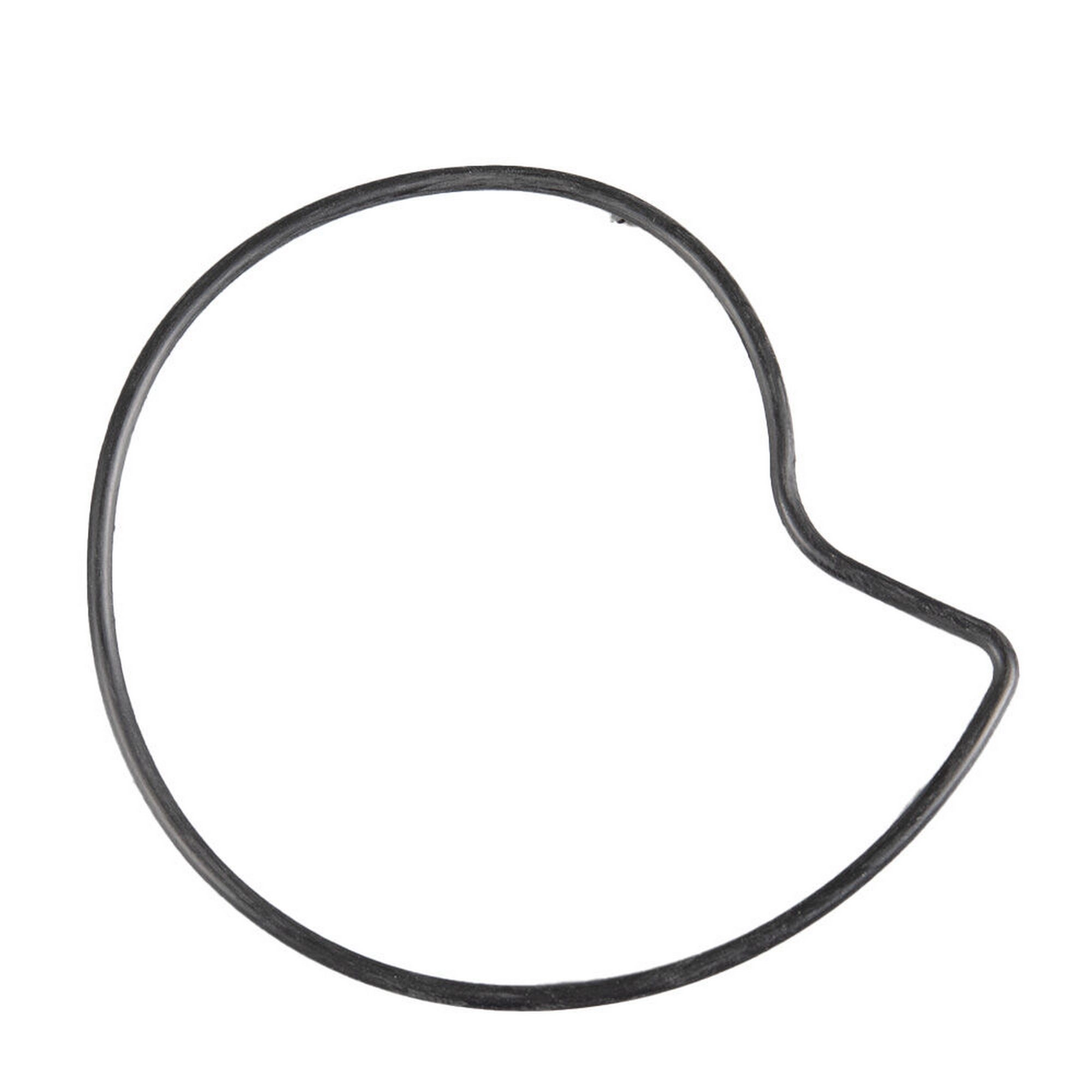 MONDIAL 250 RESSIVO DEVIR DAIM KAPAGI O-RINGI #Y4MON1065A0317