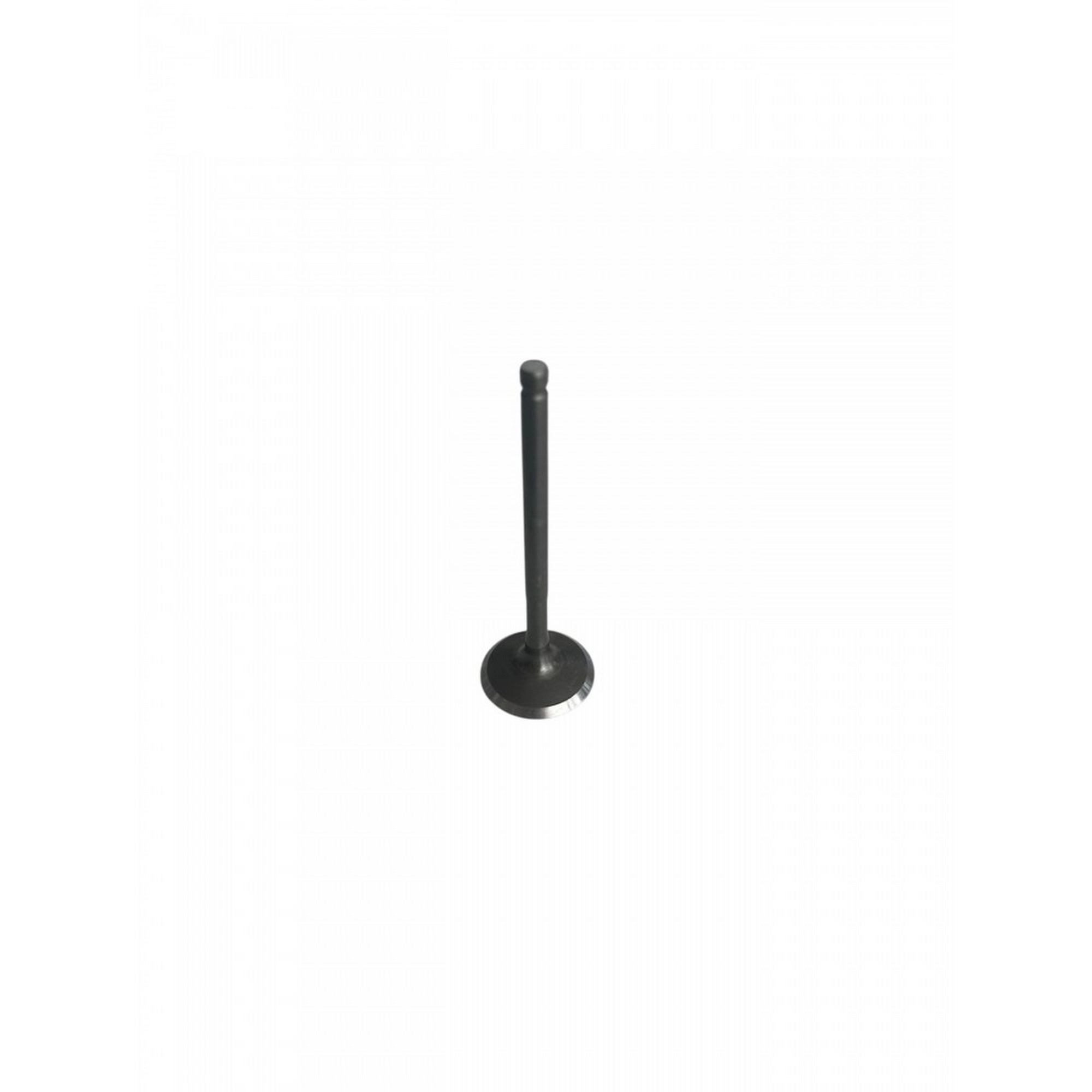 MONDIAL 125 LAVINIA EMME SUPABI #Y4MON1066A0184