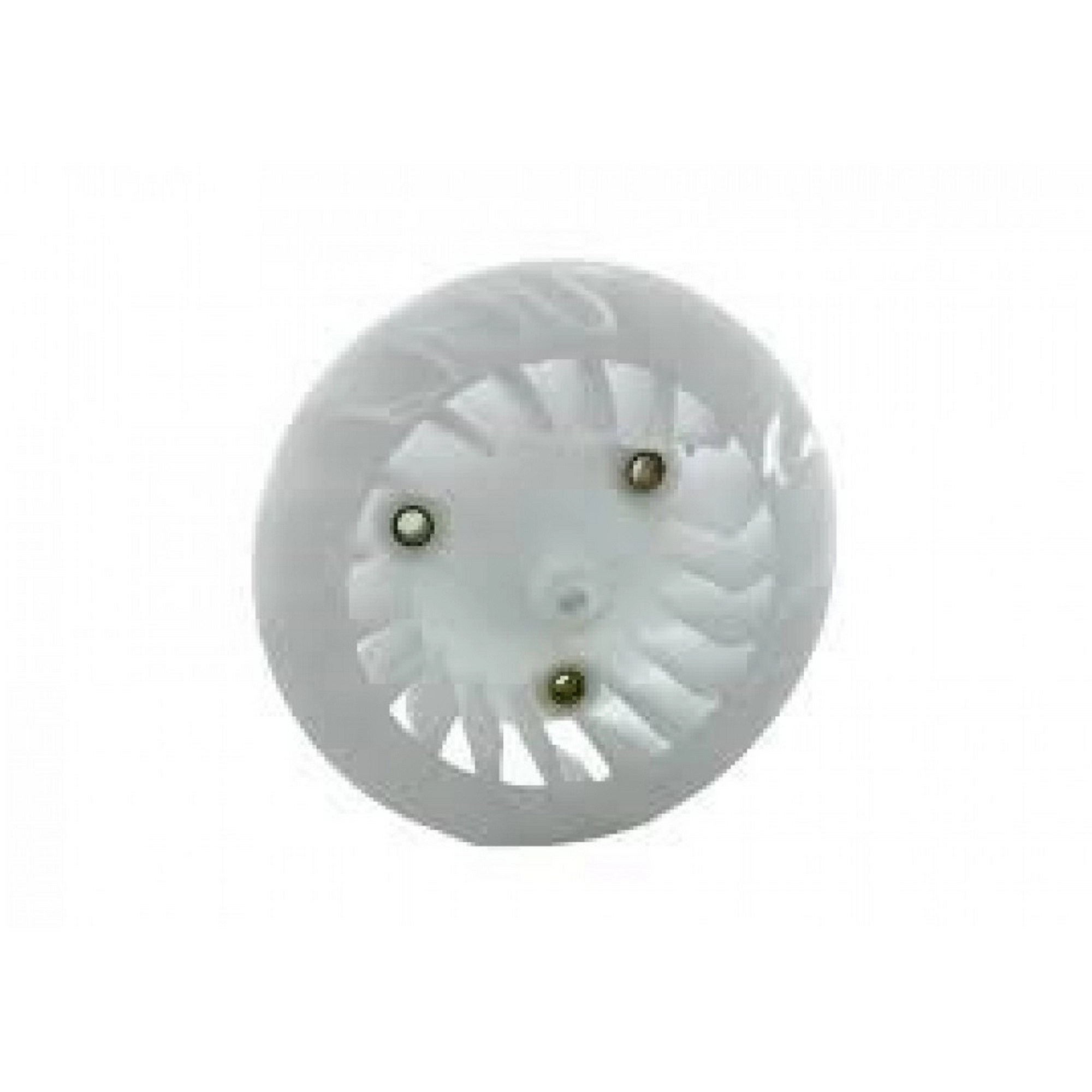 MONDIAL 125 LAVINIA FAN #Y4MON1066A0198