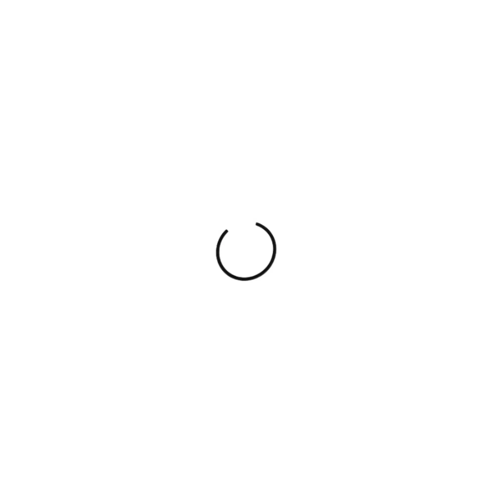 TVS APACHE RTR 200 e4 PISTON PIM SEGMANI (17X1) #Y4TVS7000A0324
