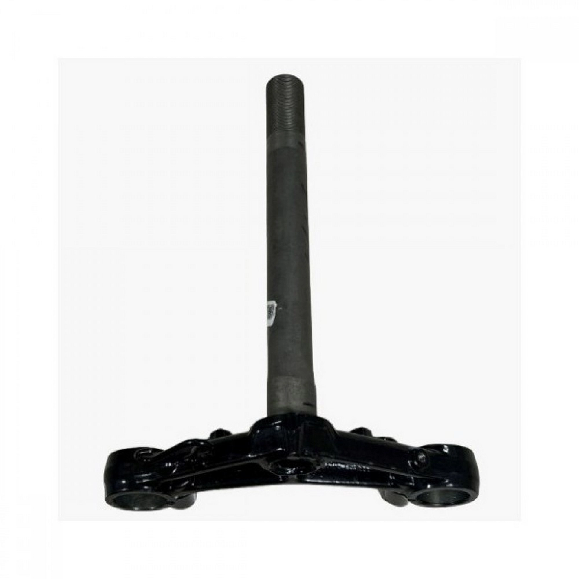 TVS RAIDER 125 ON MASA #Y4TVS7004A0157