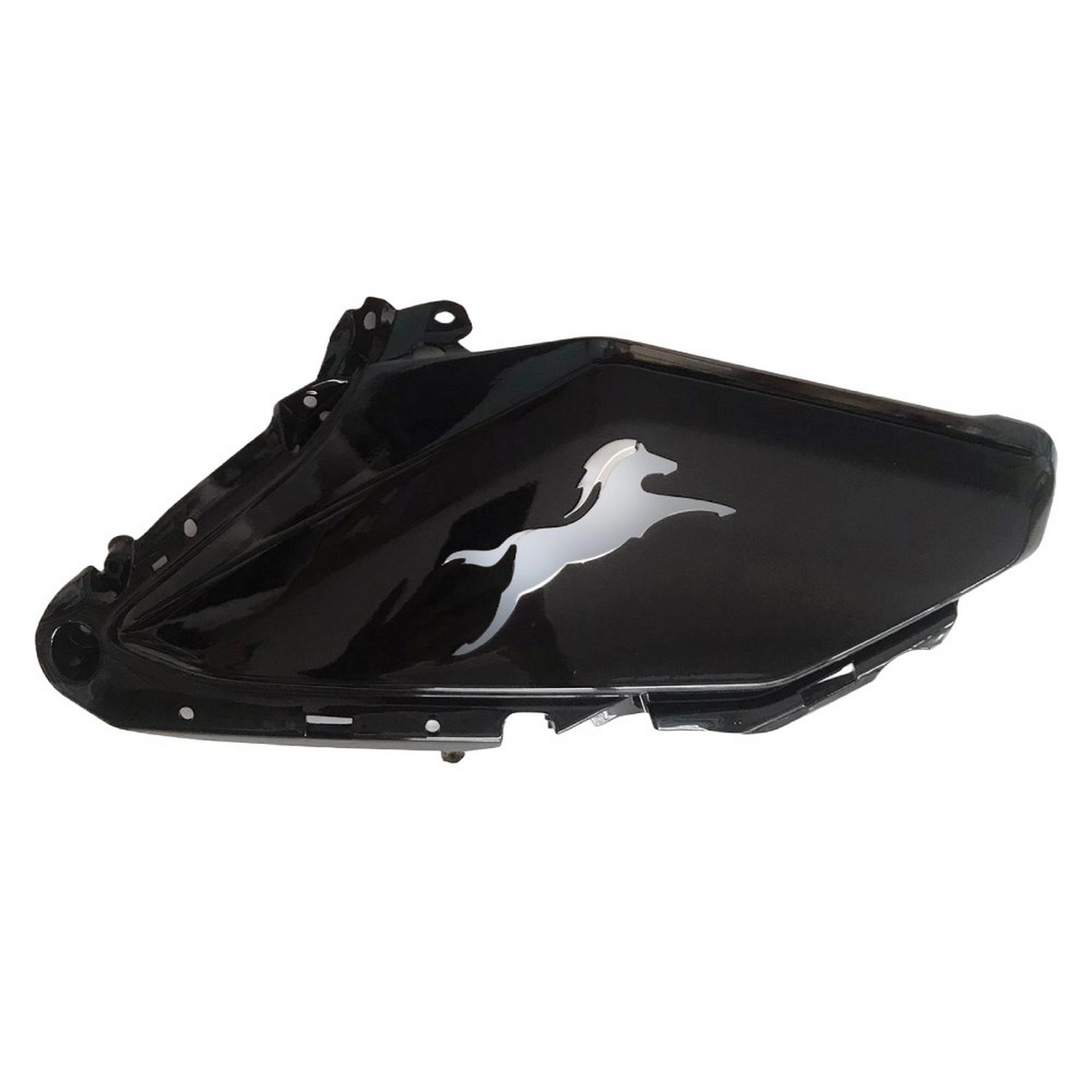 TVS RAIDER 125 BENZIN DEPO SAG ON KARENAJ (SIYAH) (ETIKET) #Y4TVS7004A0248